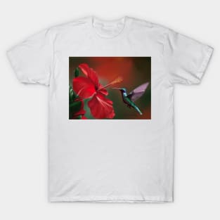 Hummingbird T-Shirt